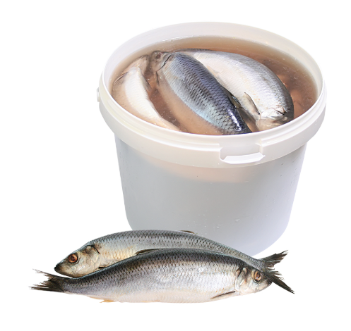 Риба оброблена